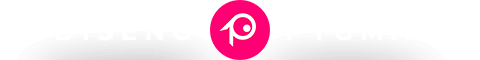Diseño Web Pygma